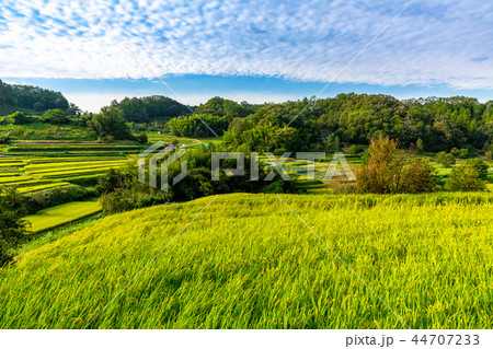 明日香村の田園風景 明日香村の田園風景 44707233