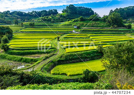 稲淵地区の棚田 明日香村 44707234