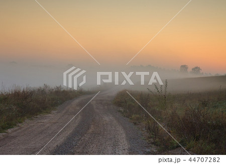 A foggy road among meadows at dawn A foggy road among meadows at dawn 44707282