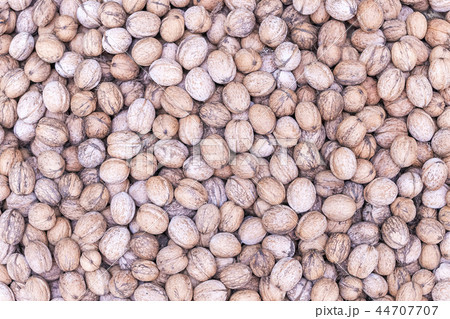 background of the many walnuts in shell 44707707