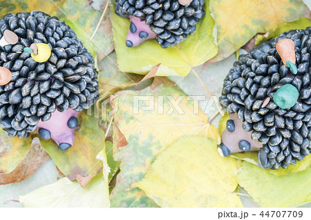 Children crafts little hedgehog 44707709