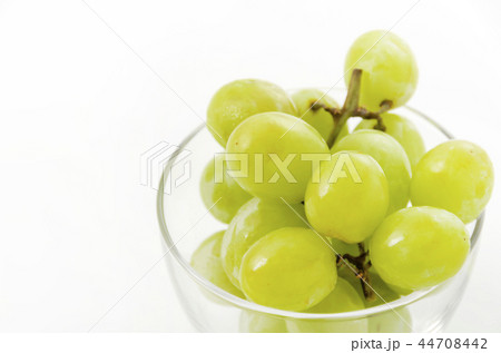種無しぶどう グリーンシードレス 44708442