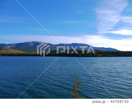 ホワイトホース ホワイトホース 44708730