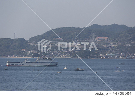 ジャンボフェリー 44709004