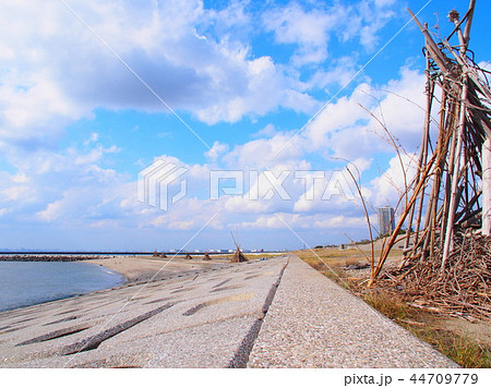 稲毛海岸の流木の写真素材