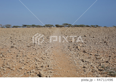 オボックの荒野にまっすぐ走る道 44711496
