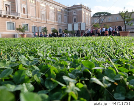 ヴァチカン市国の庭 44711751