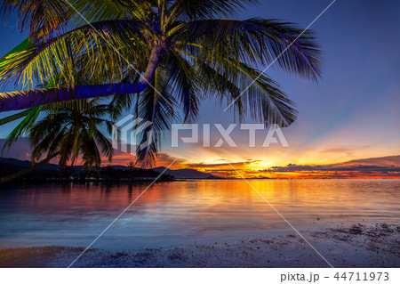 Beautiful sunset with coconut palm tree on the beach in koh samui thailand. 44711973