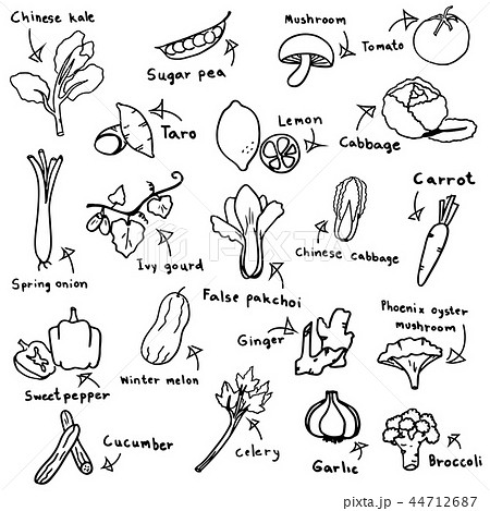 vegetable sketch in black doodle drawing 44712687
