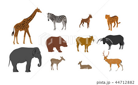 Wildlife Animal collection on white background Wildlife Animal collection on white background 44712882