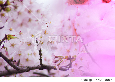 春 44713067