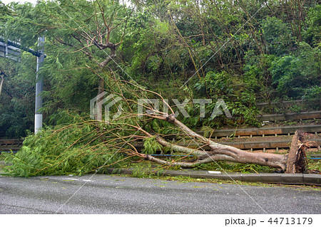 台風の爪痕 台風の爪痕 44713179