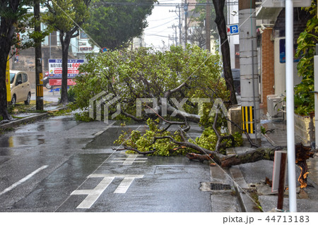 台風の爪痕 台風の爪痕 44713183