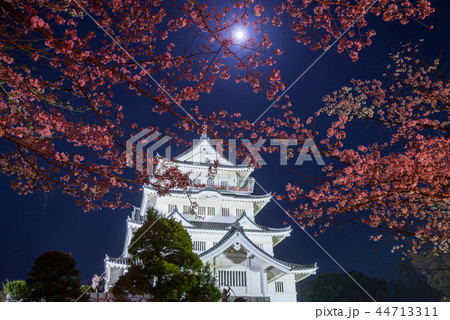 千葉城 夜桜ライトアップと月 千葉県千葉市中央区 の写真素材