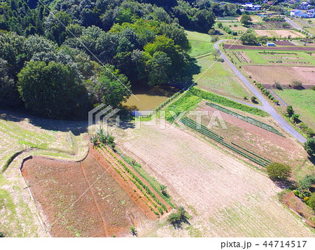 里山・田園〜ドローンで撮影(埼玉県児玉郡美里町猪俣) 里山・田園〜ドローンで撮影(埼玉県児玉郡美里町猪俣) 44714517