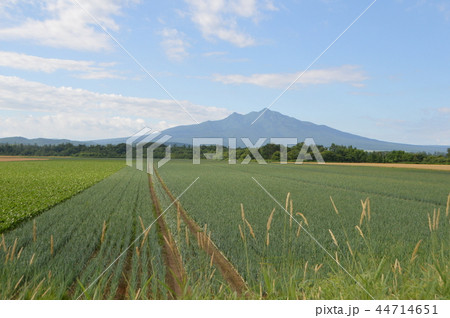 北側から眺めた「斜里岳」（北海道斜里郡斜里町） 44714651