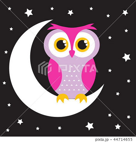 owl in the moon owl in the moon 44714655