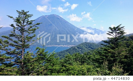 雄大なカット 44714830