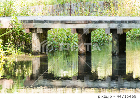 森に囲まれた橋/A Bridge in Nature_2 44715469