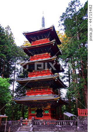 日光東照宮　五重塔　（ 栃木県 日光市 ） 44715482