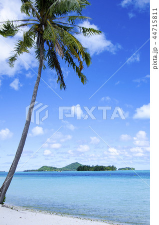 ボラボラ島の楽園ビーチ 44715811