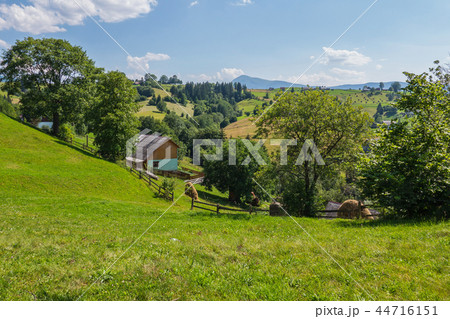 A scenic landscape of bright green grass near the 44716151