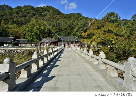 白潭寺 ベクダム谷 雪岳山 44716709