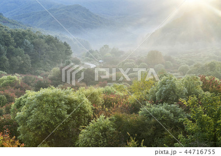 麟蹄郡 韓国 自然 44716755