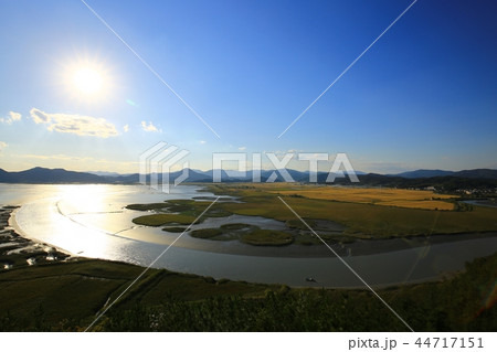秋 葦原 順天湾湿地 44717151