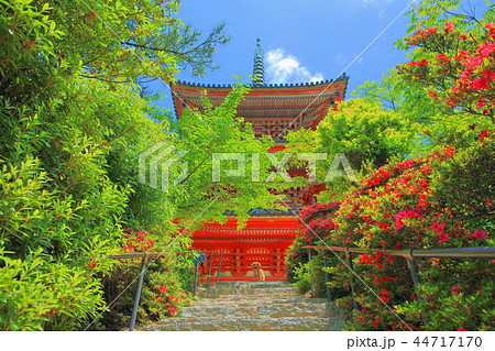 新緑の生口島　向上寺 44717170