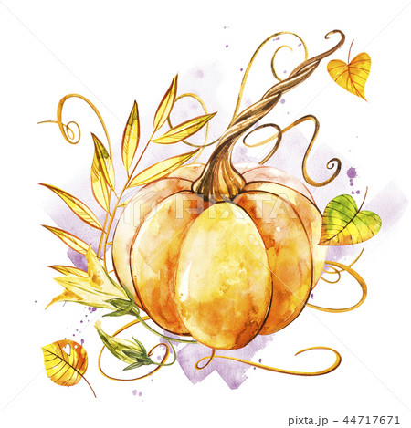 Pumpkin. Hand drawn watercolor painting on white background. Watercolor illustration with a splash. Pumpkin. Hand drawn watercolor painting on white background. Watercolor illustration with a splash. 44717671