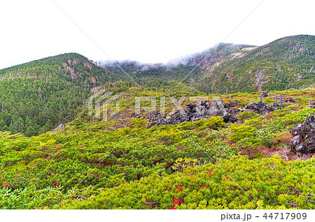 北八ヶ岳　坪庭 44717909