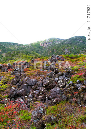 北八ヶ岳 坪庭 北八ヶ岳 坪庭 44717924