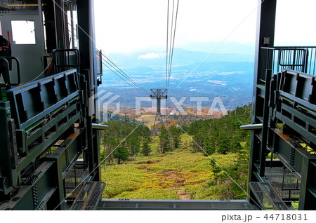 北八ヶ岳　坪庭 44718031