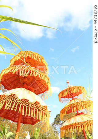 南国イメージ 44718795