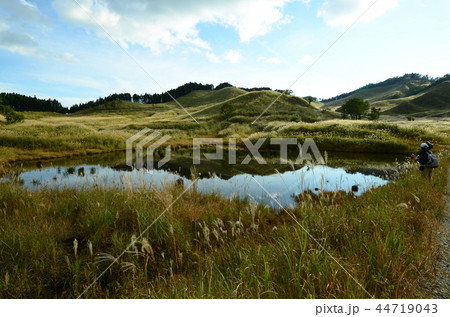 ススキ野 44719043