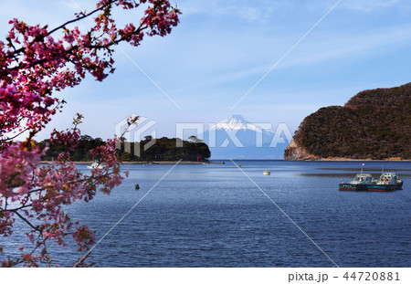 【静岡県】御浜崎・戸田港 富士山・春の風景 44720881