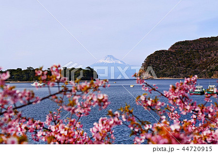 【静岡県】御浜崎・戸田港 富士山・春の風景 【静岡県】御浜崎・戸田港 富士山・春の風景 44720915