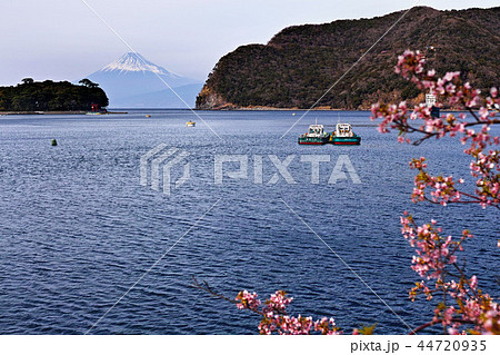 【静岡県】御浜崎・戸田港 富士山・春の風景 44720935