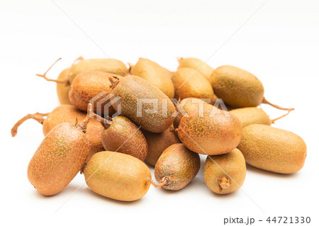 シマサルナシ 44721330