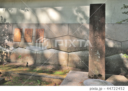 金沢市　徳田秋声文学碑 44722452