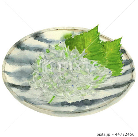 生しらすのイラスト素材