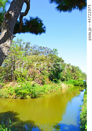 大阪　仁徳天皇陵古墳（世界文化遺産） 44722975