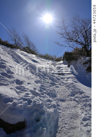 冬の神奈川の烏尾山と三ノ塔の間の登山道 冬の神奈川の烏尾山と三ノ塔の間の登山道 44723059