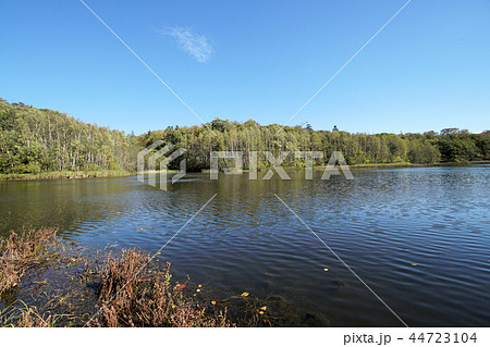 北海道　野幌森林公園　瑞穂の池 44723104