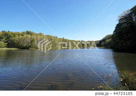 北海道　野幌森林公園　瑞穂の池 44723105