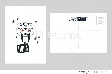 Cute walrus head vector illustration 44723639