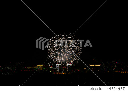 割物 菊 #2 東京の夜景に打ち上がる花火 44724977