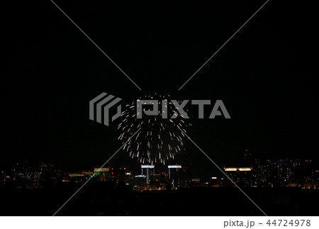 割物 菊 #3 東京の夜景に打ち上がる花火 44724978