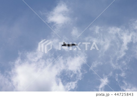 穏やかな青空の雲間を飛行する在日米海軍の空母艦載機F/A-18Fスーパーホーネット戦闘攻撃機 44725843